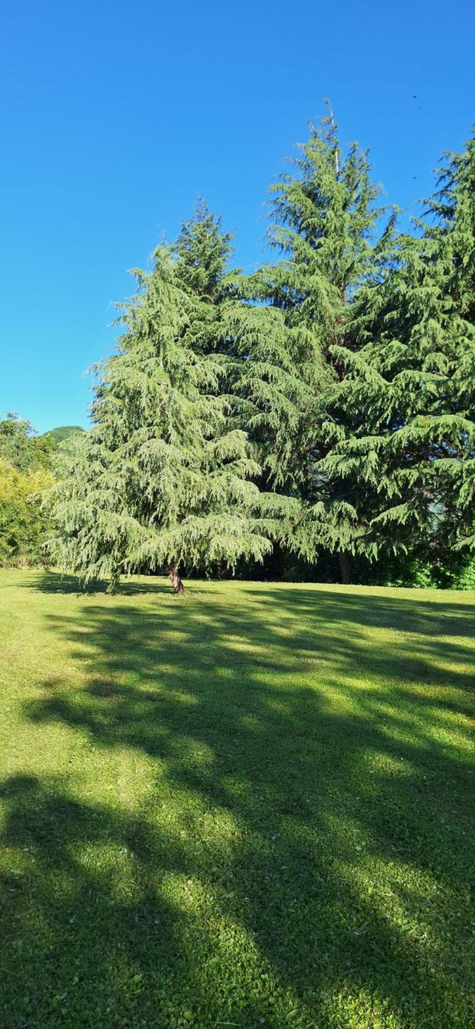 Villa Duno A Un Passo Da Citta Alta Clanezzo Zewnętrze zdjęcie